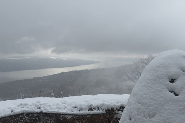 Uetliberg viewpoint