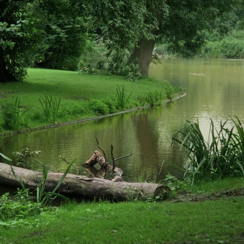 Vondelpark