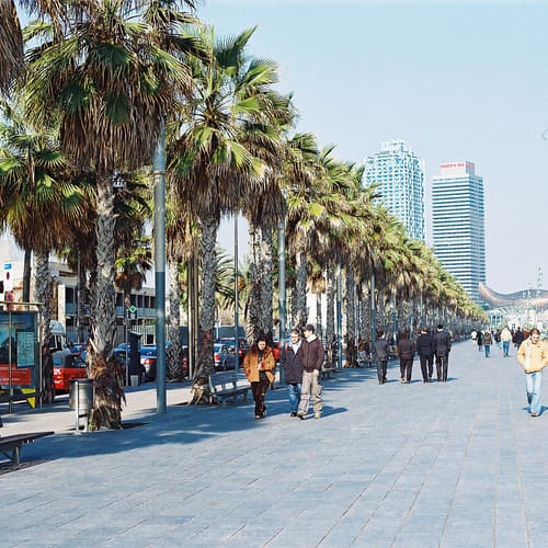 Passeig Marítim y la Barceloneta