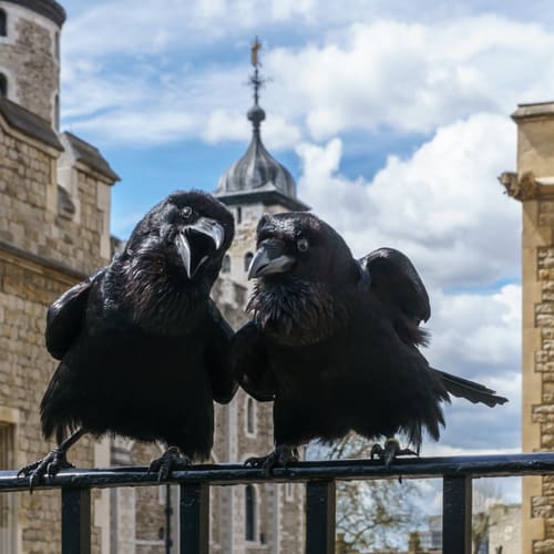Tower of London