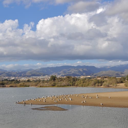La Charca de Maspalomas